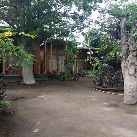 Beach Box Bungalow Gili Trawangan Buitenkant foto