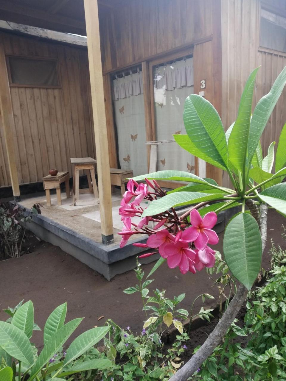 Beach Box Bungalow Gili Trawangan Buitenkant foto