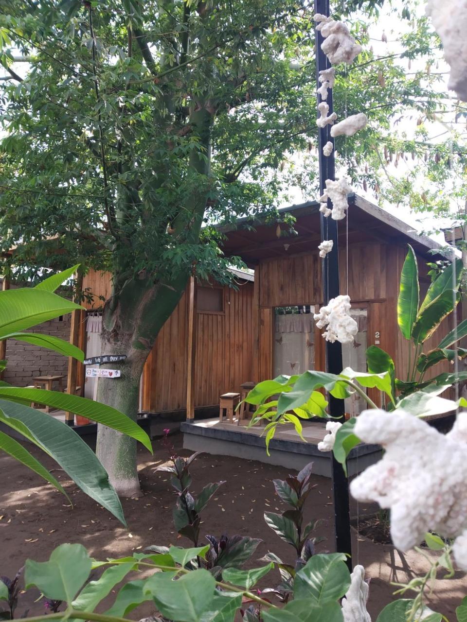 Beach Box Bungalow Gili Trawangan Buitenkant foto